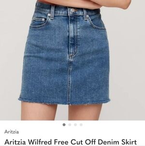 Aritzia Wilfred Free Blue Denim Mini Skirt